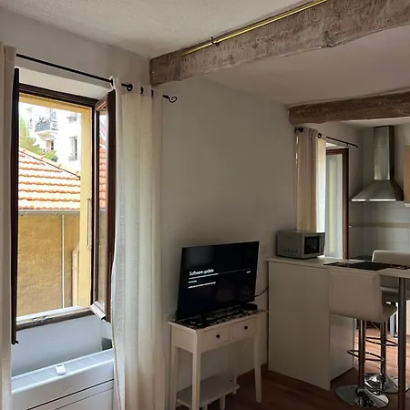 Petit Palmier Promenade *