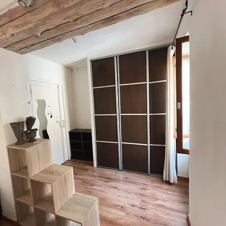 Petit Palmier Promenade *