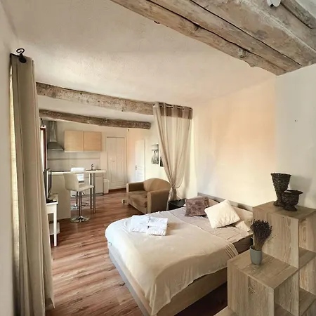 Petit Palmier Promenade Apartman Nizza