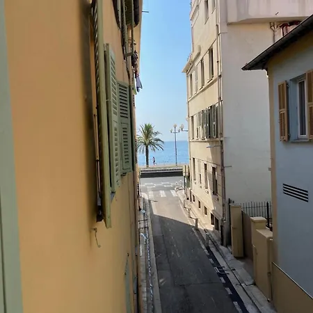 Petit Palmier Promenade