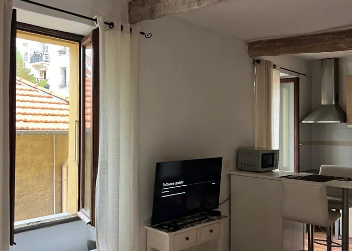 Petit Palmier Promenade *