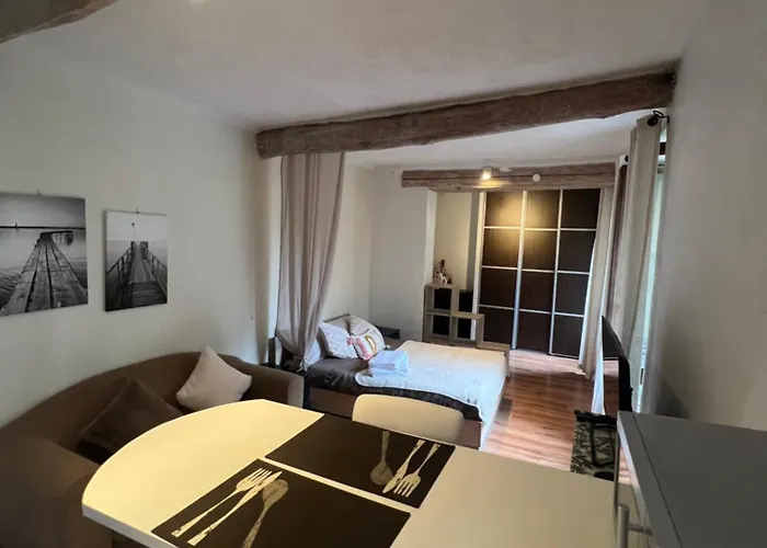 Petit Palmier Promenade * Νίκαια