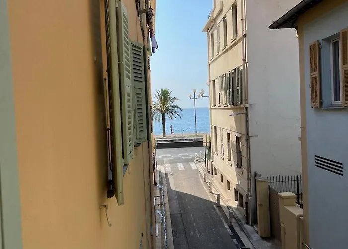 Petit Palmier Promenade